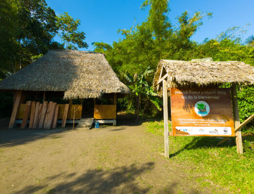 El Pilchi – Mandi Wasi